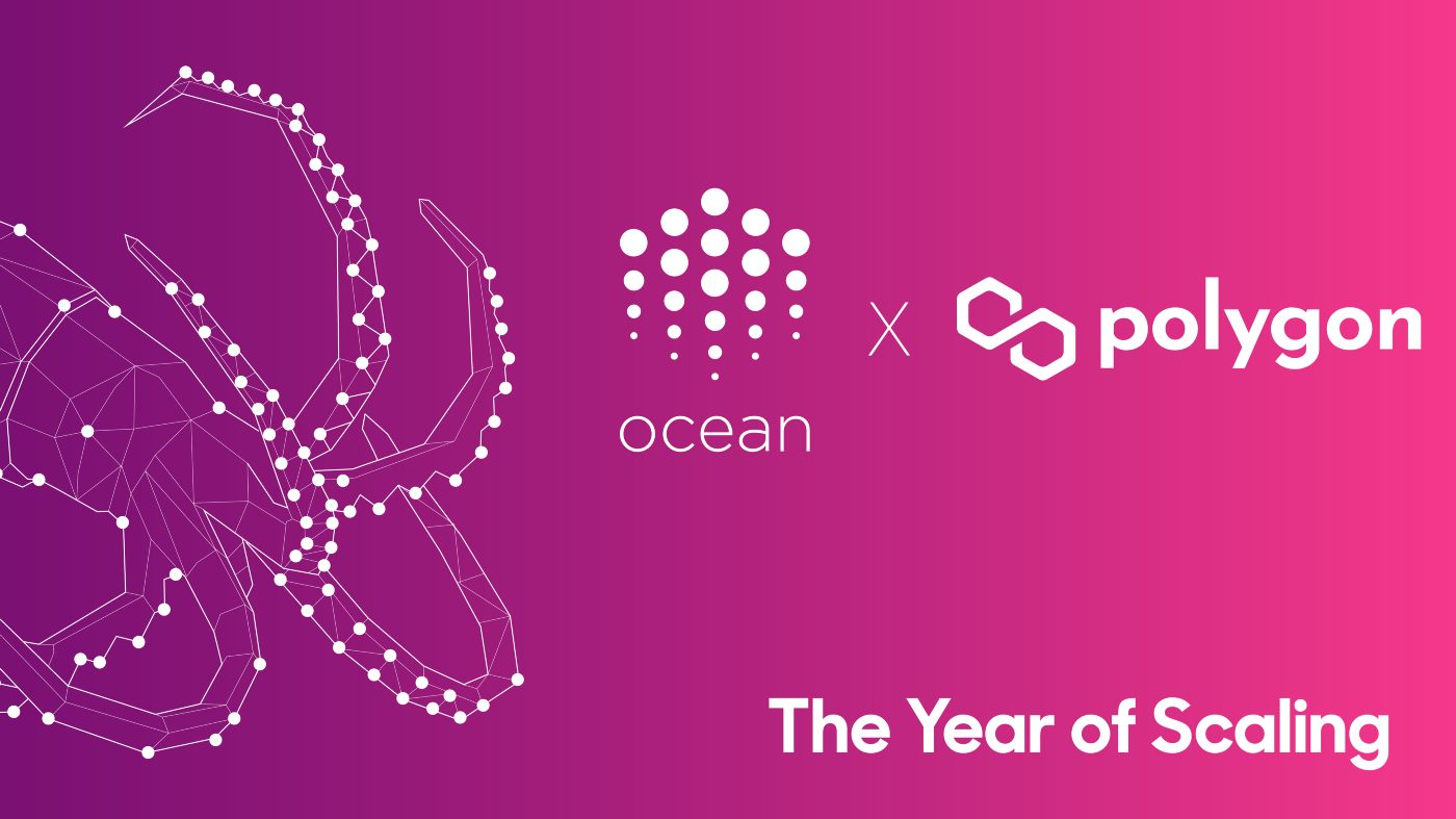 Ocean’s on Polygon Network