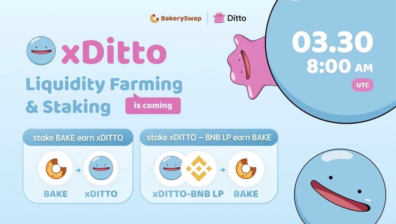 xDITTO Liquidity Farming & Staking on BakerySwap