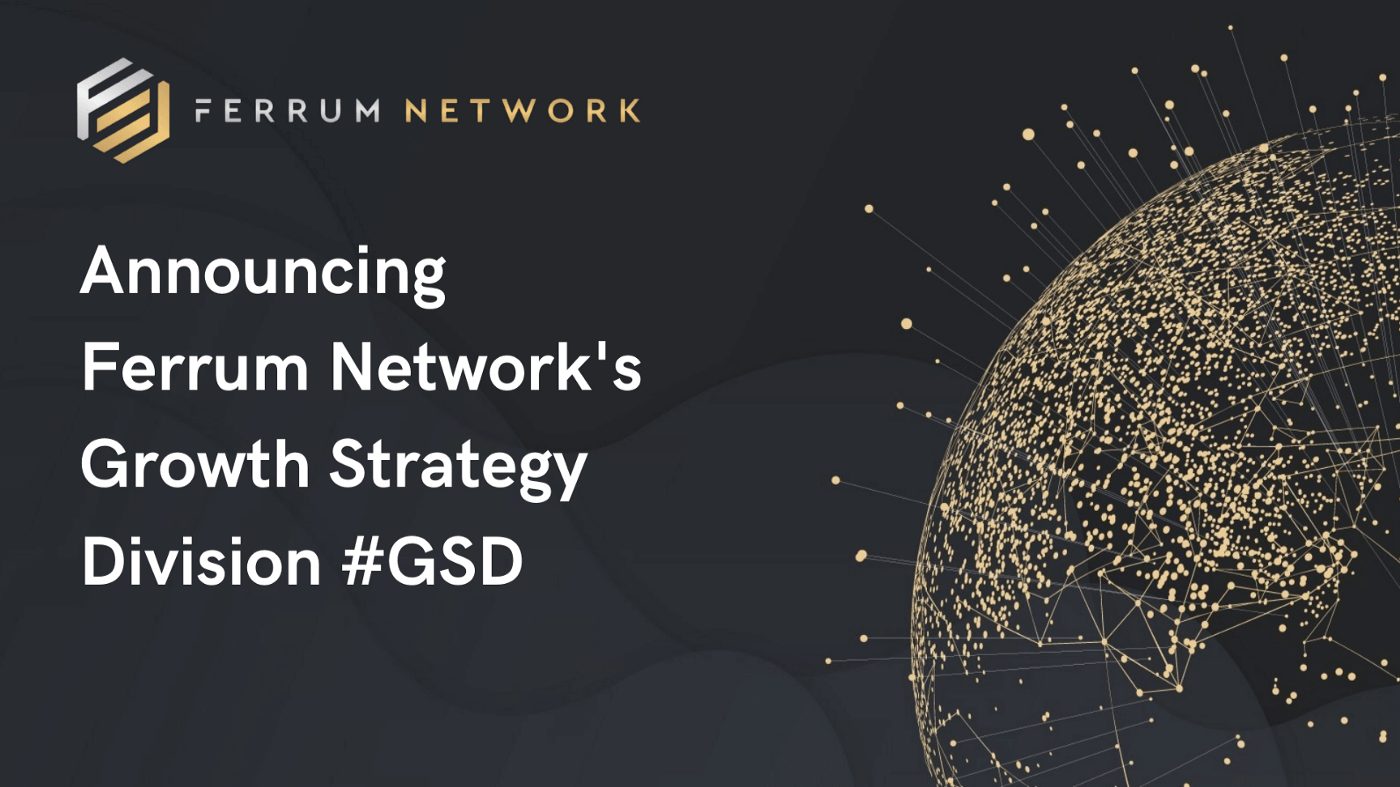 Ferrum Network New Growth Strategy Division