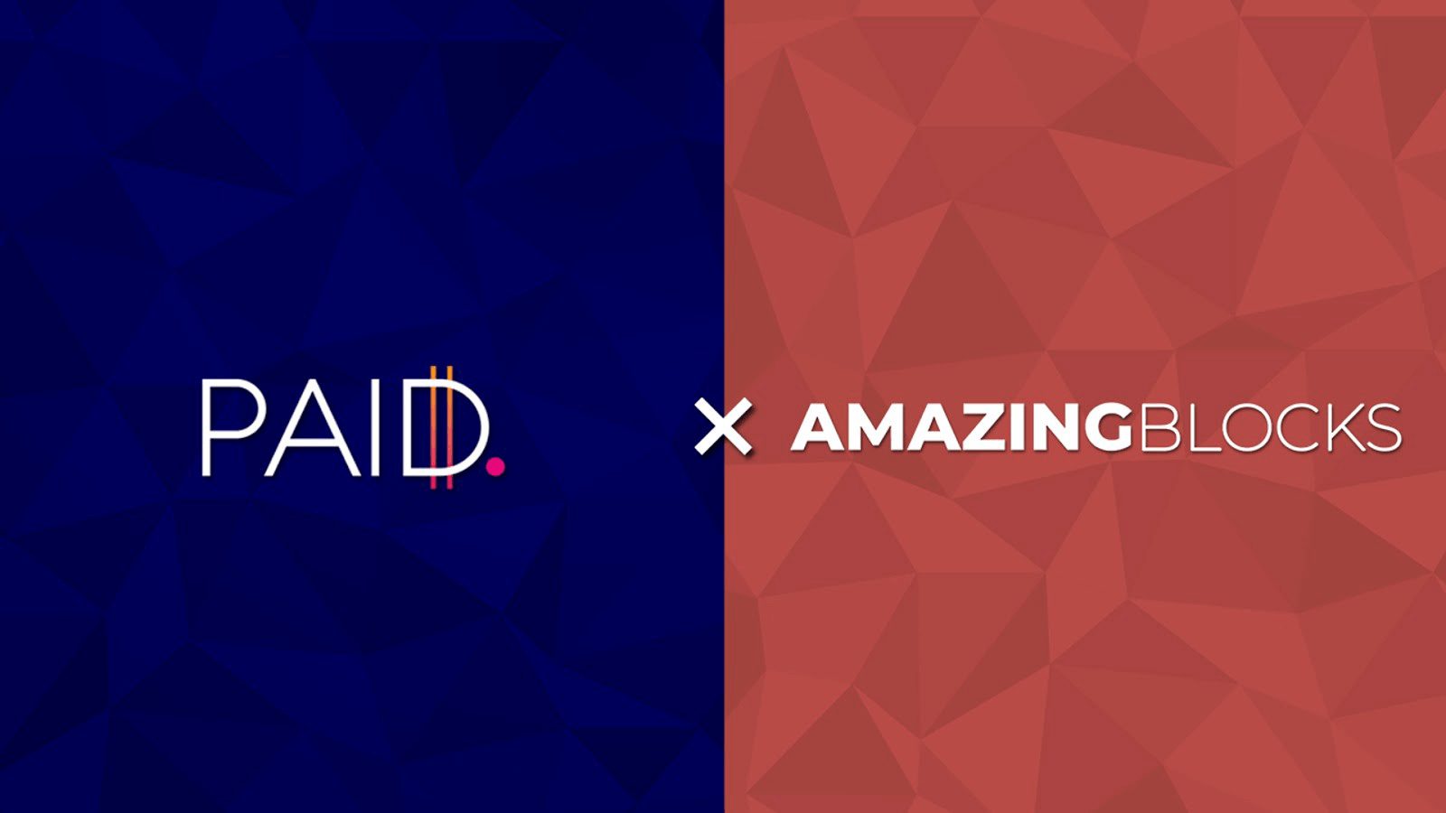 Paid Network Partners with Amazing Blocks