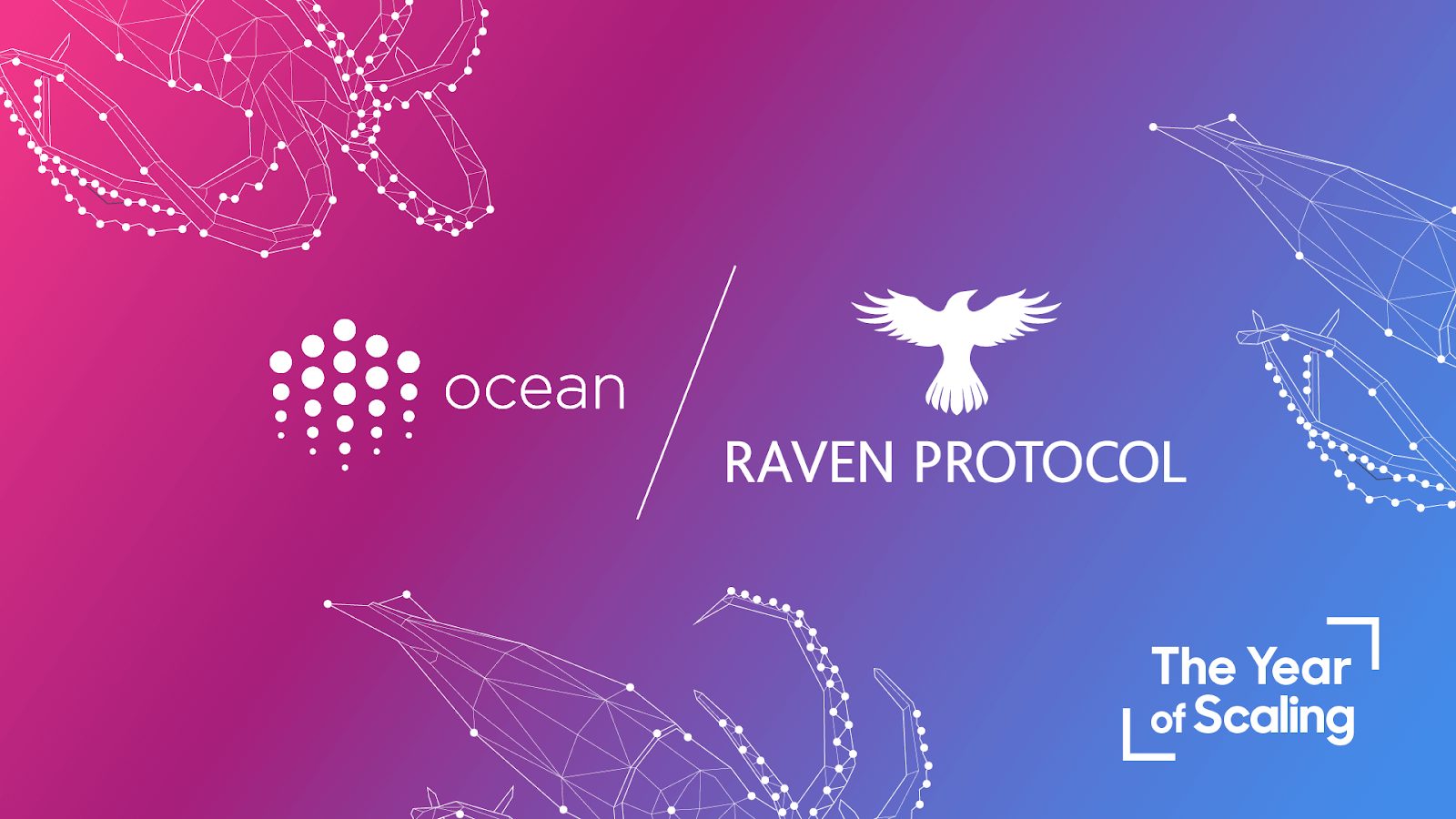 Ocean Protocol x Raven Protocol Collaboration