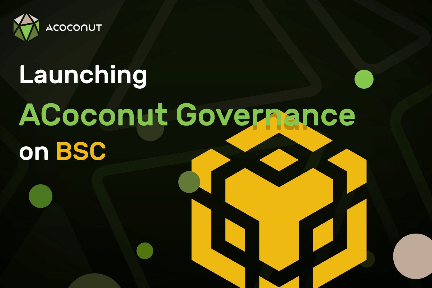 Introducing ACoconut Governance on Binance Smart Chain