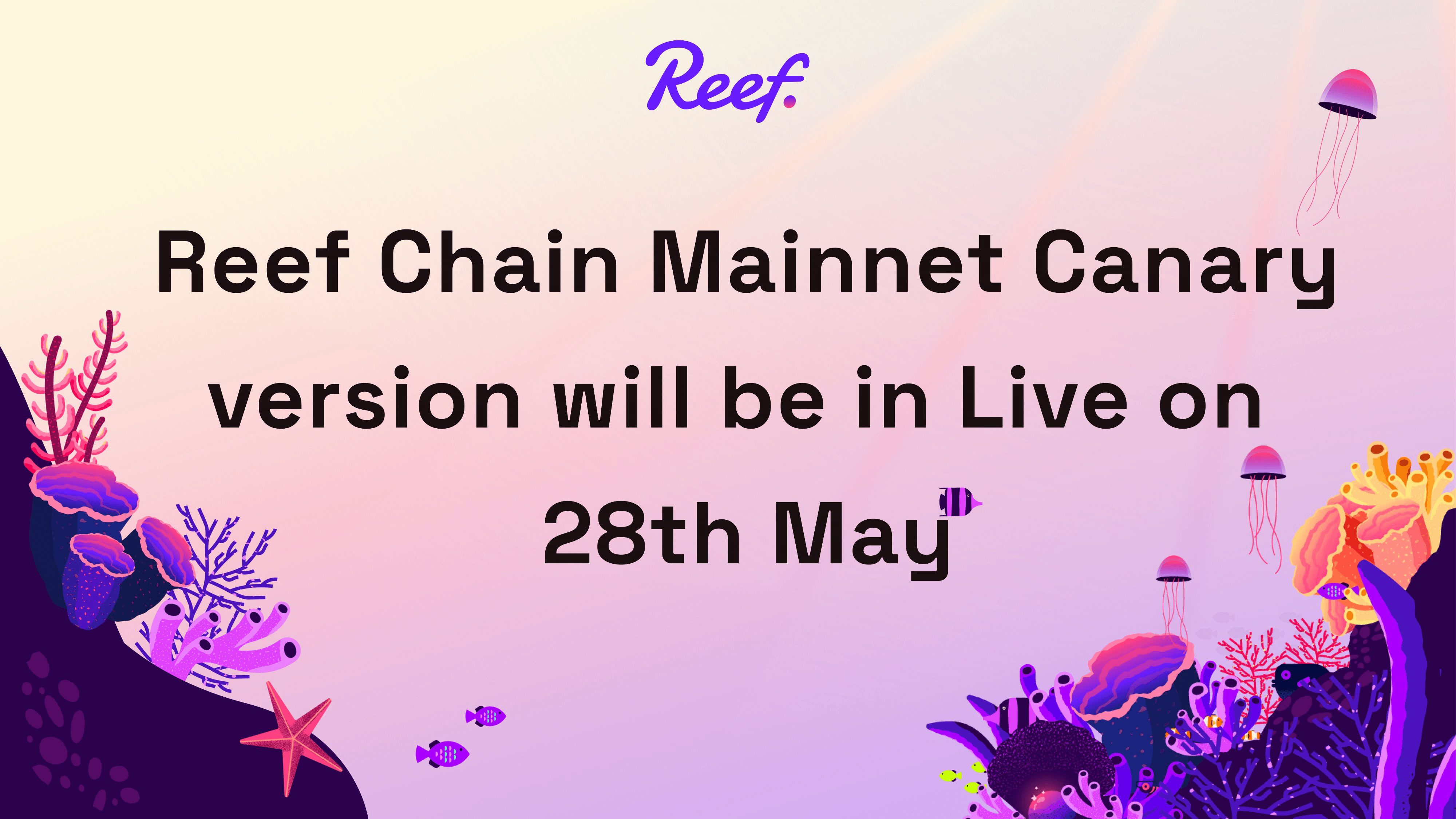 Reef Chain Canary Version Launch