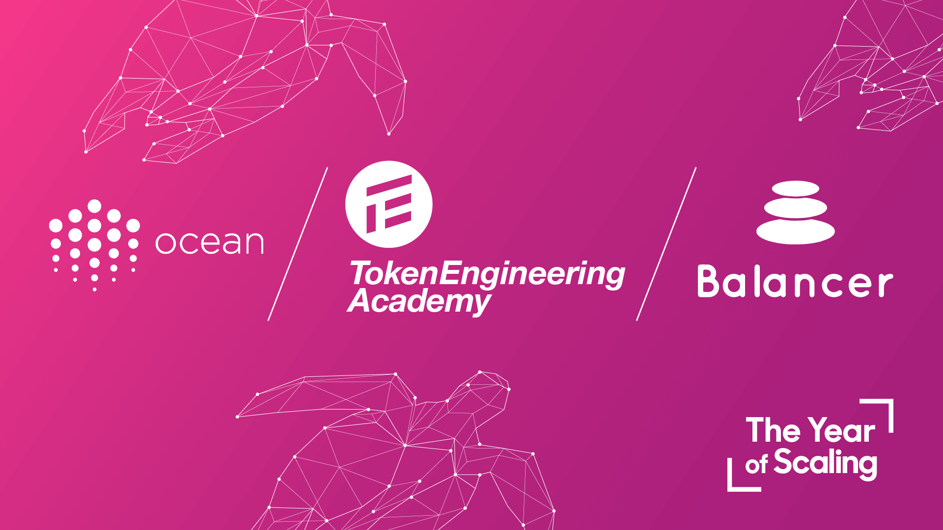 Ocean Protocol partners with Token Engineering Academy for Ocean Market Balancer Simulations