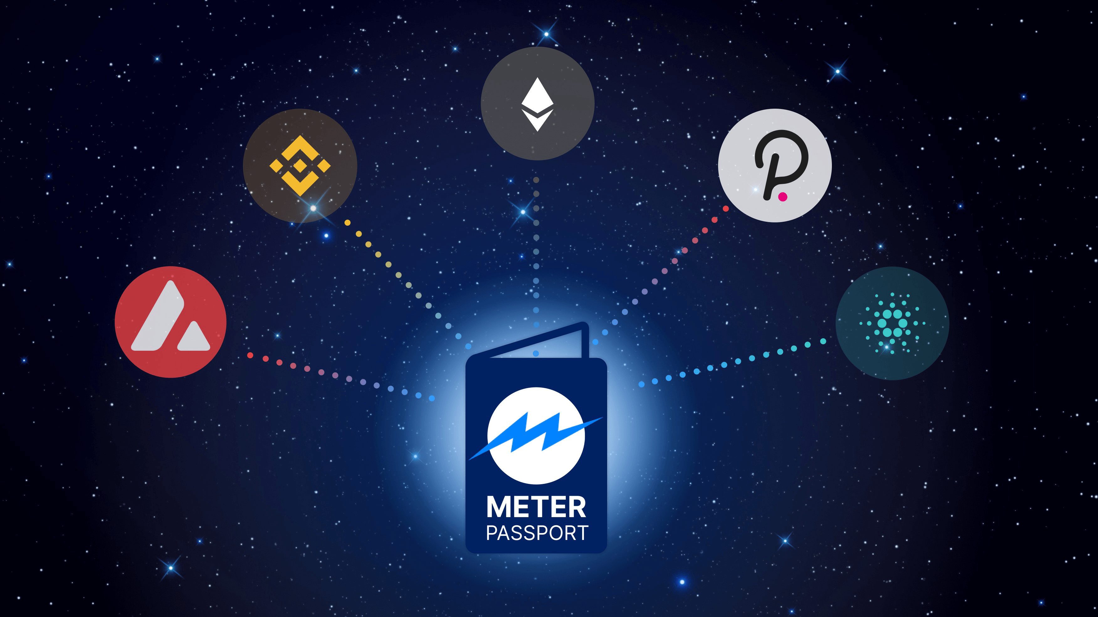 Meter Passport Subsidy Program