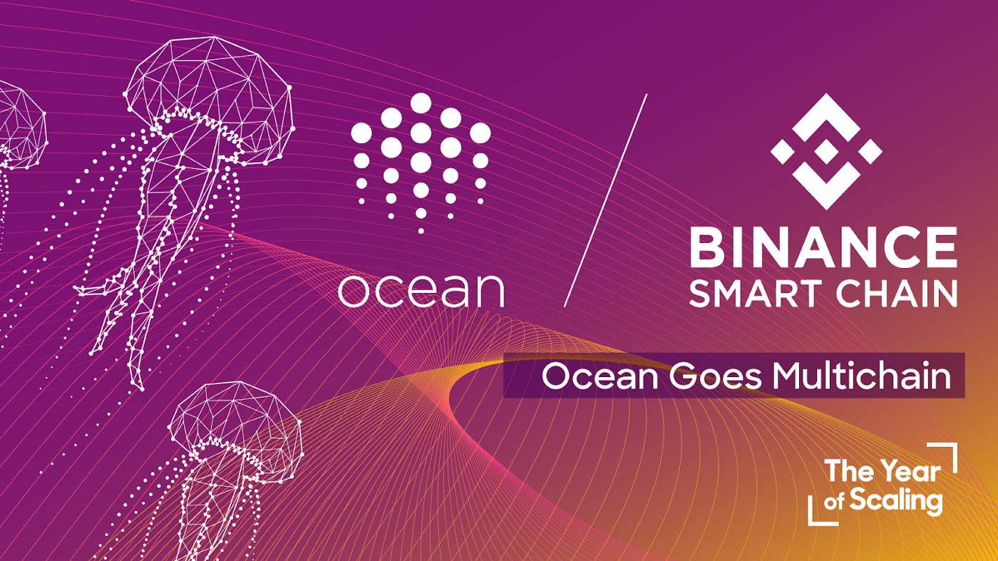 Ocean Protocol is now set-up to Binance Smart Chain ...