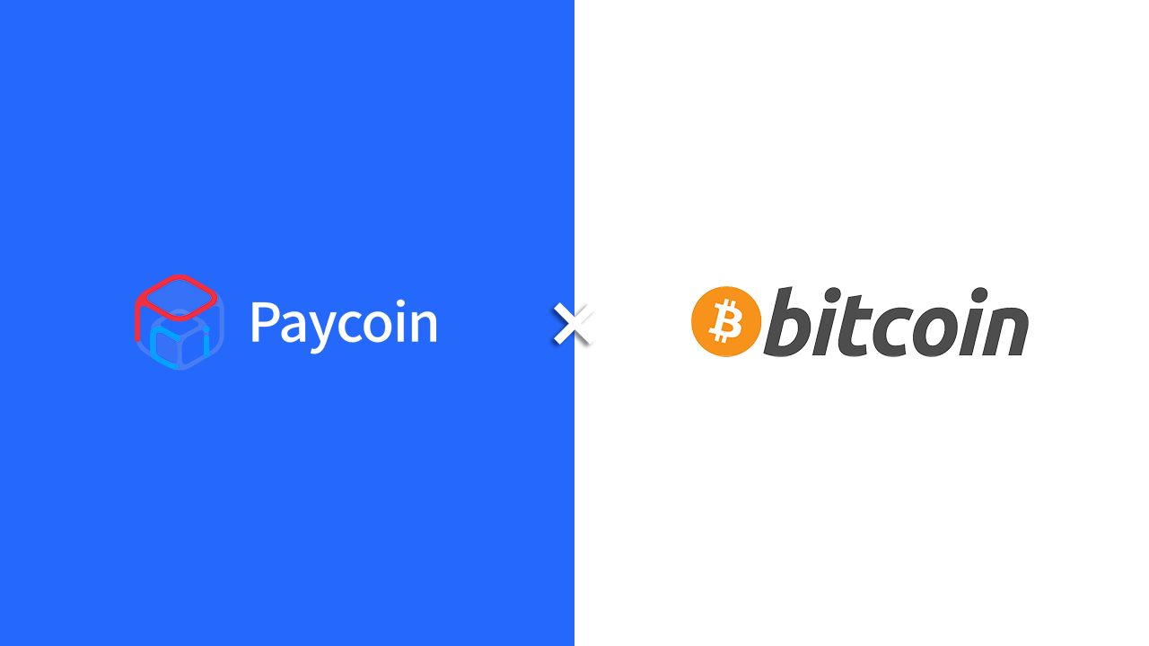 Introducing New Services, BTC Payment and Paycoin Shopping