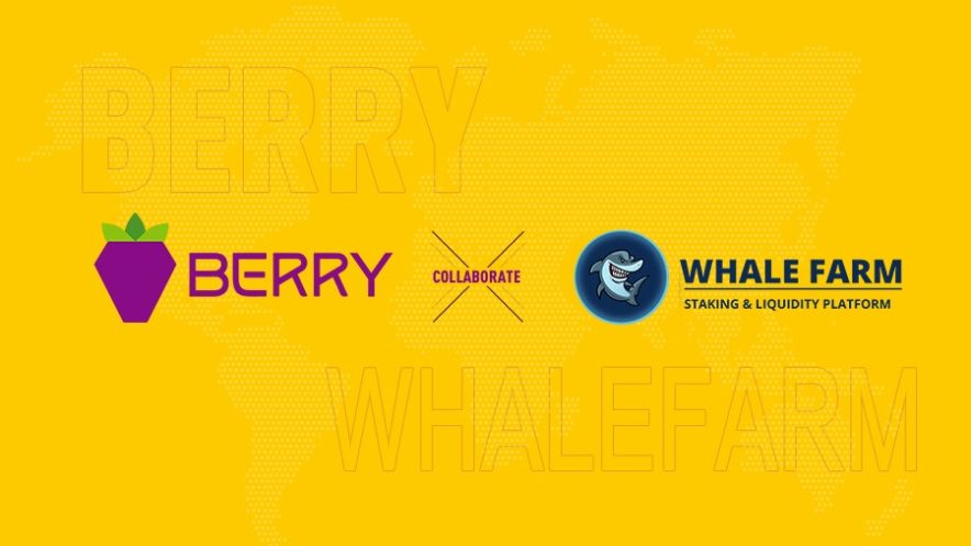 Berry Data x Whale Farm Partnership - Smart Liquidity Research