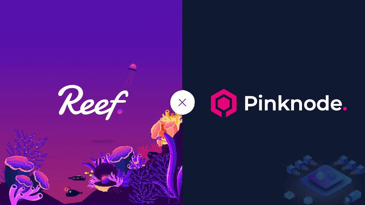 Reef Finance x Pinknode Integration