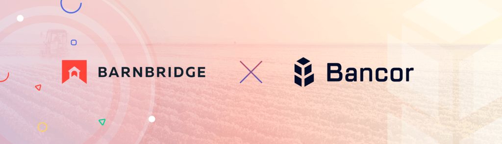 BarnBridge DAO Seeds Bancor Pool