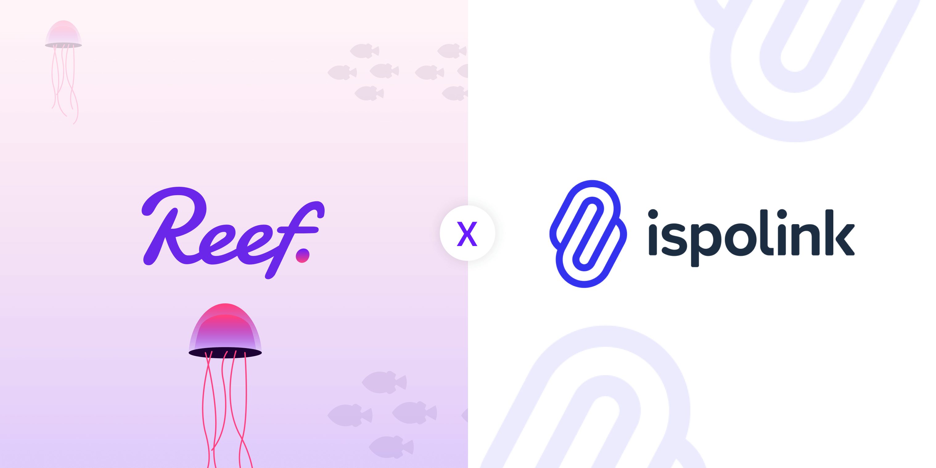 Reef Finance x Ispolink Collaboration