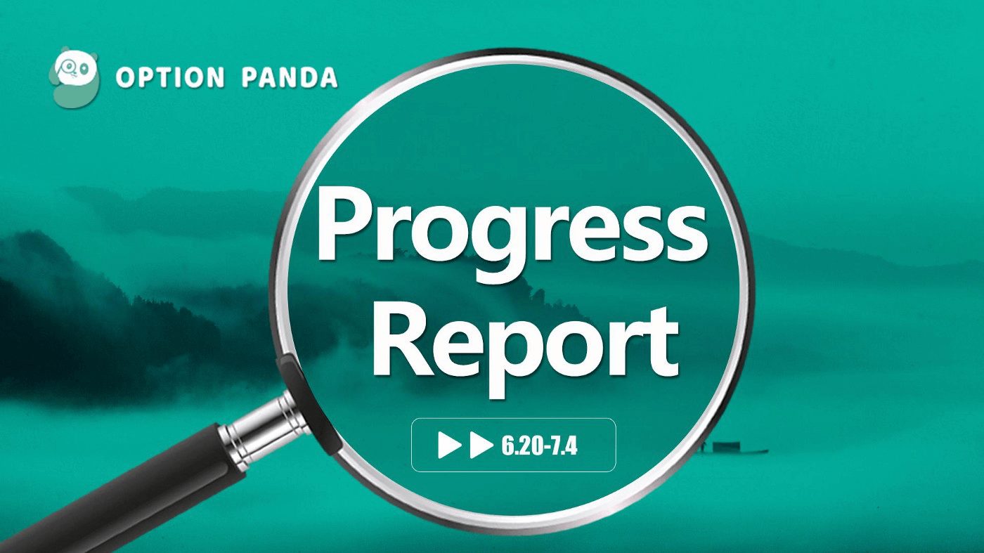 OptionPanda Progress Report | 2021.6.20–2021.7.4