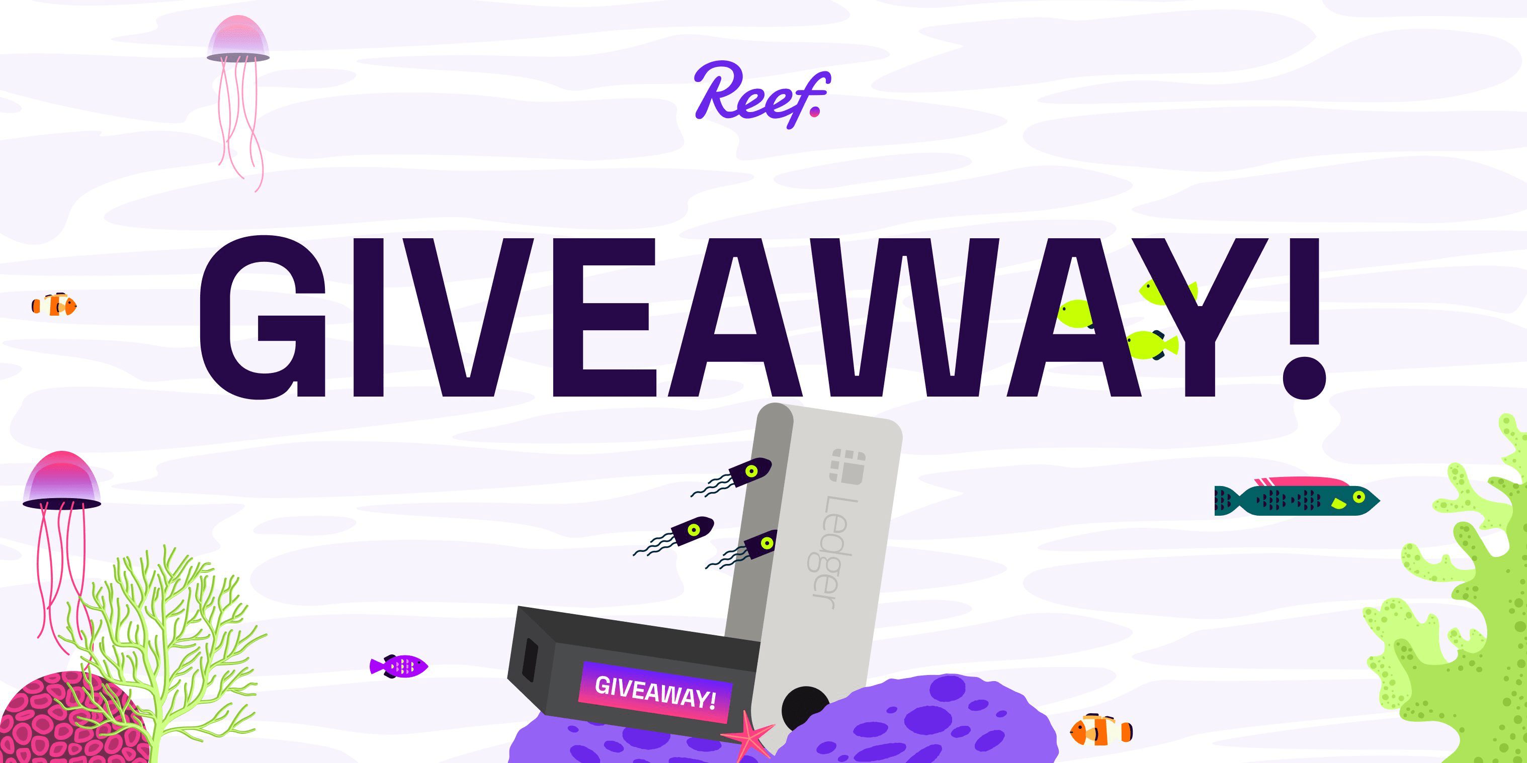 Reef Finance x Ledger Wallet Giveaway