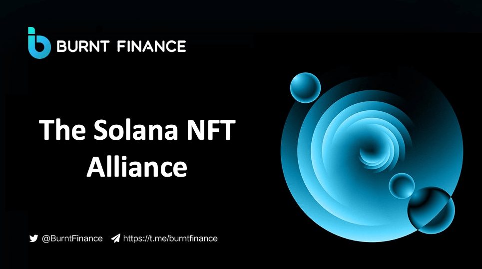 Introducing Solana NFT Alliance