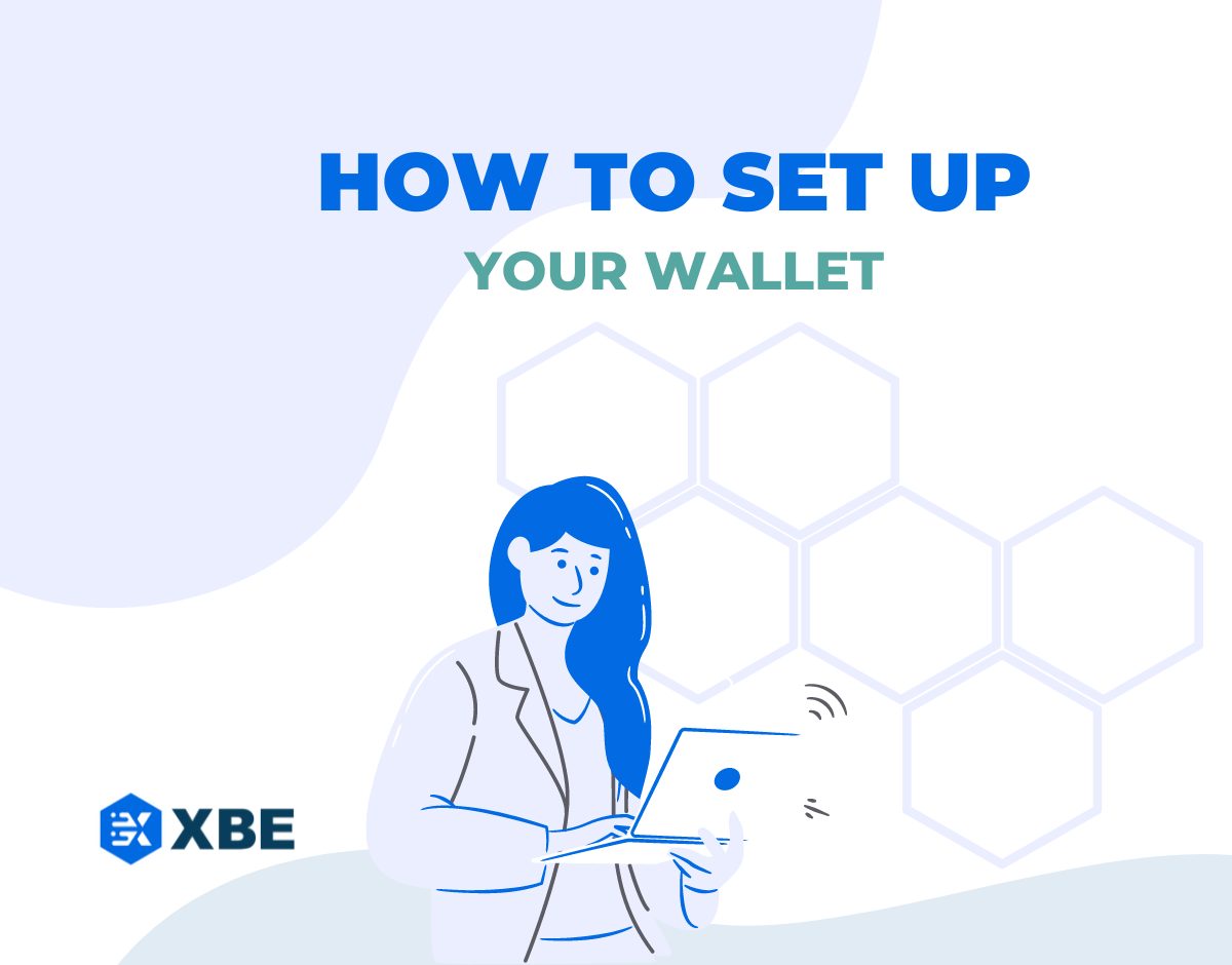 How to setup Wallet by XBE.Finance