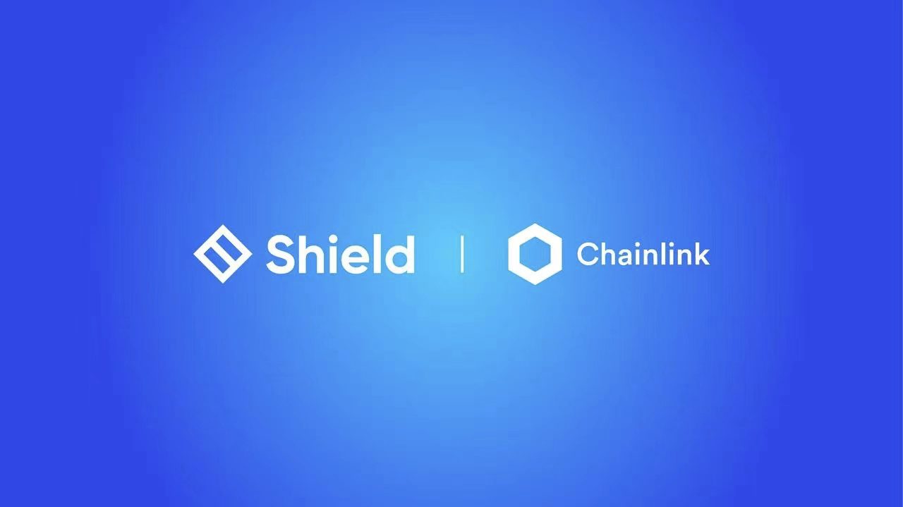 Shield protocol криптовалюта обзор