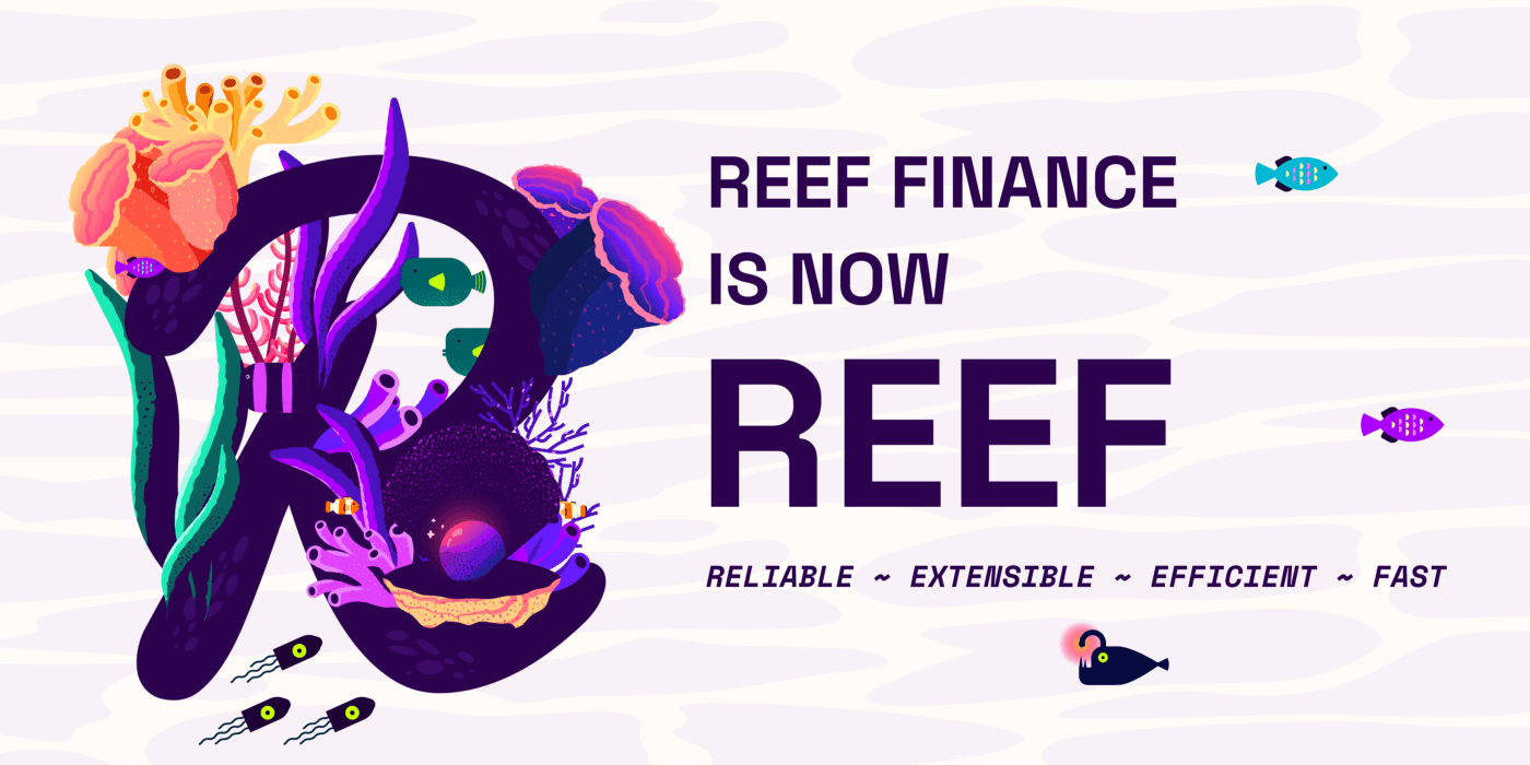 New Reef Finance Website Now Live