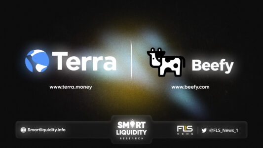 Beefy Partners With Terra