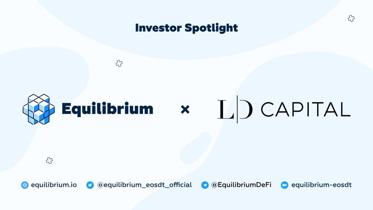 Equilibrium Introduces Strategic Investor