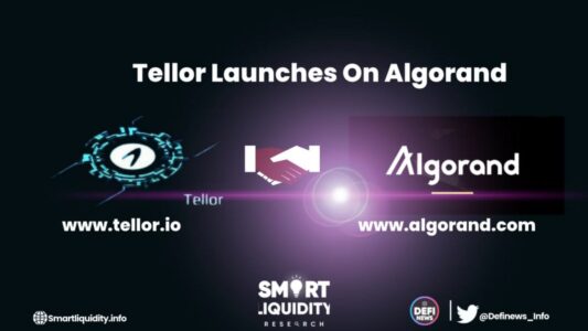 Tellor launches on Algorand