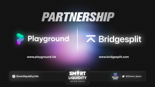 Playground Partnership with Bridgesplit