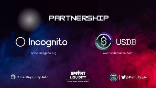 USDB Partnership with Incognito