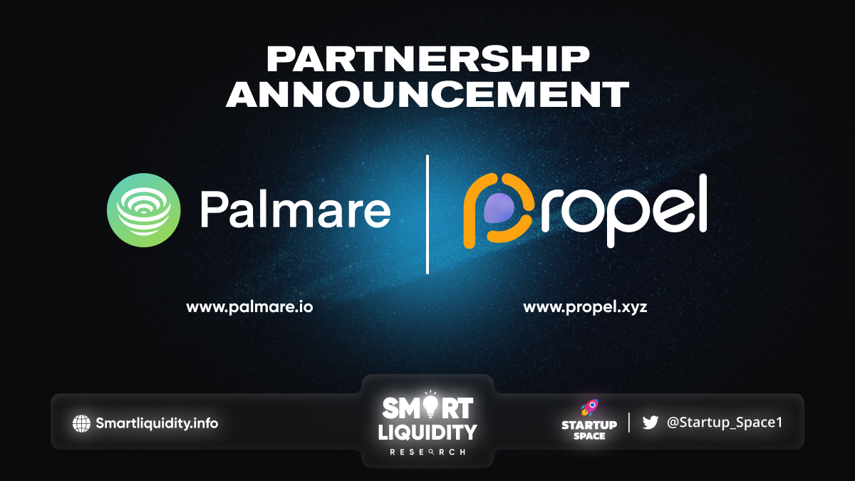 Palmare Strategic Partnership with Propel