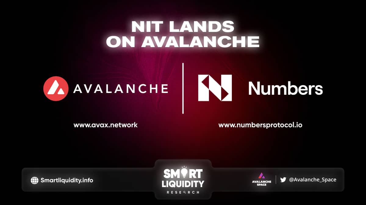 Nit Lands Supported by Avalanche