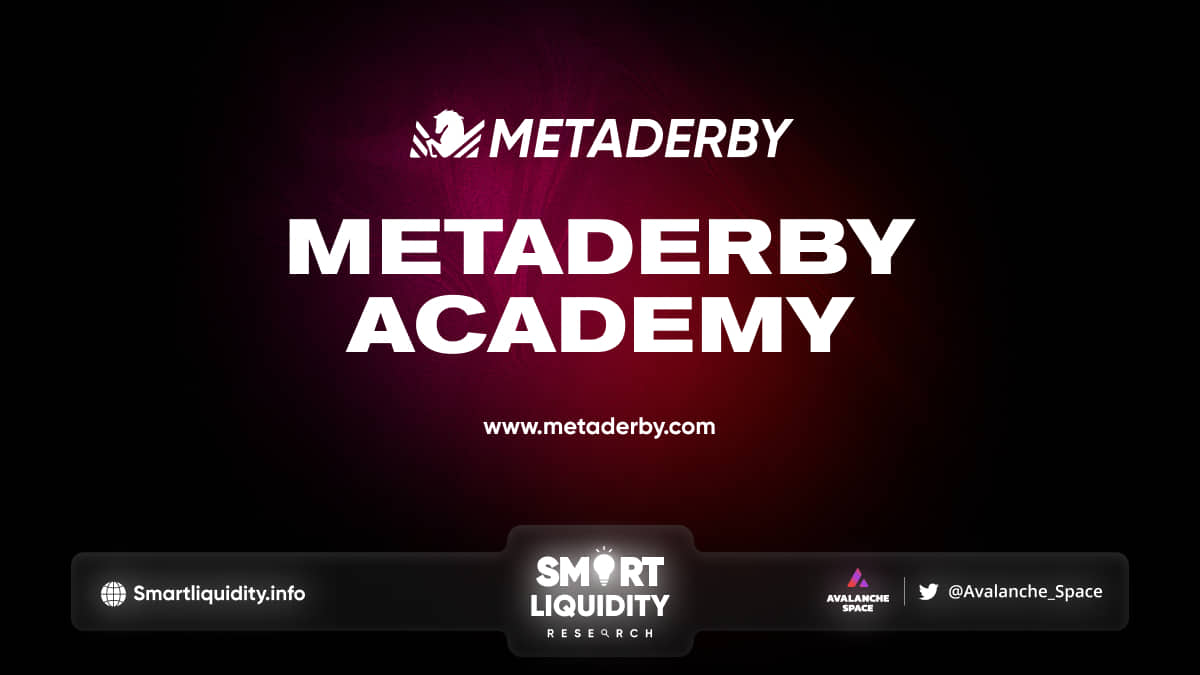 MetaDerby Academy GameFi / Play-to-Earn