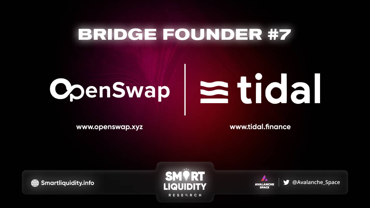 Bridge Founder #7 Tidal Finance