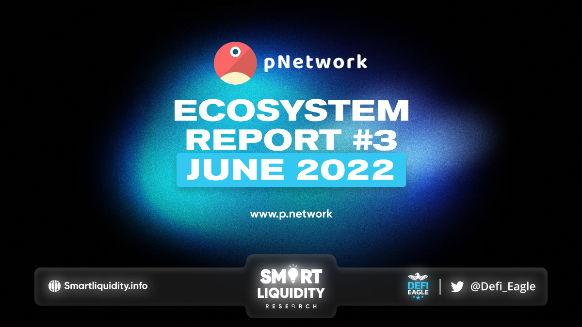 pNetwork Report #3: June 2022