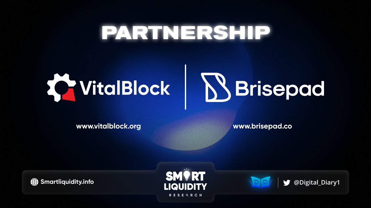 Vital Block x Brisepad Partnership