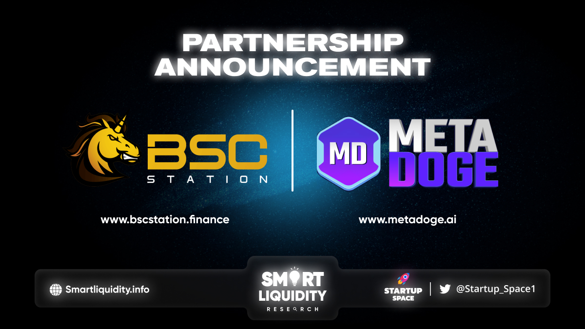 BSCStation Announces Partnership with MetaDoge