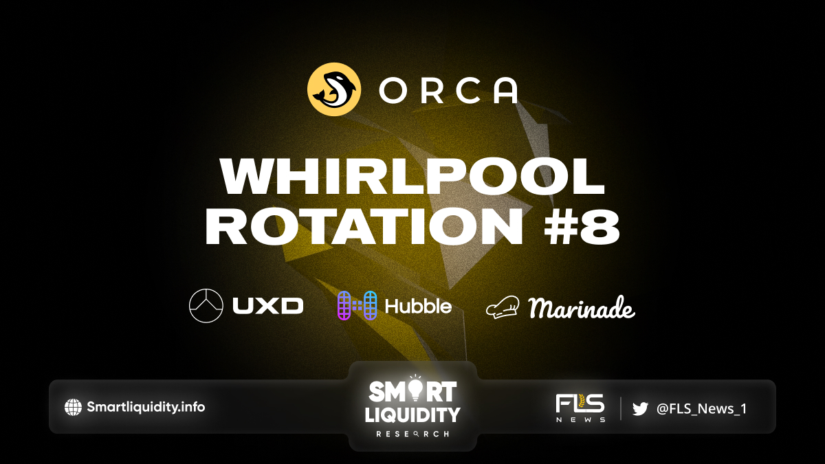 Orca Whirlpools Rotation #8