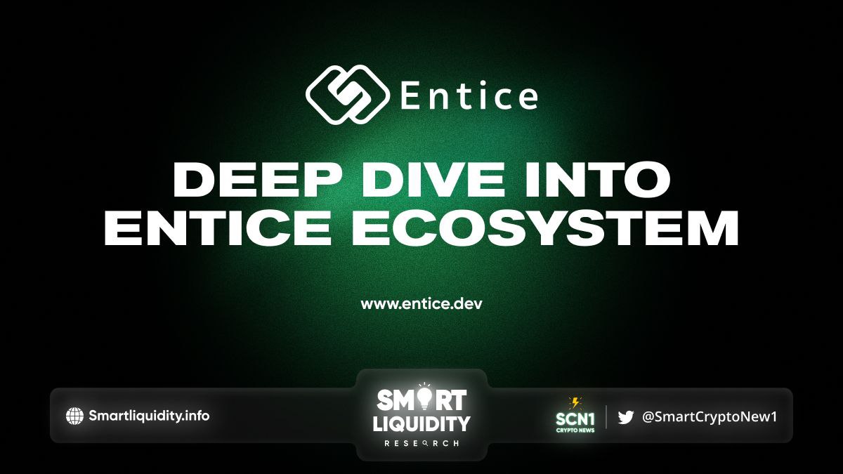 Diving into Entice Platform