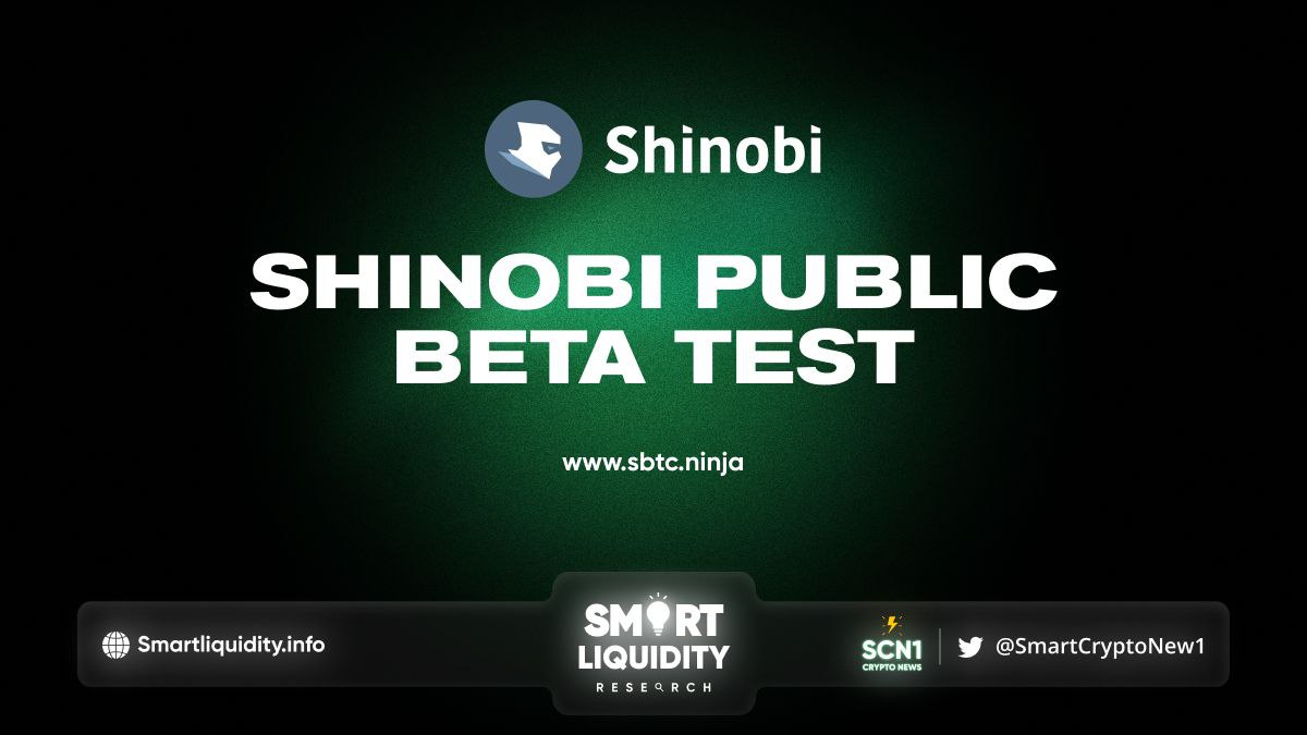 Shinobi 2nd Beta Test has started
