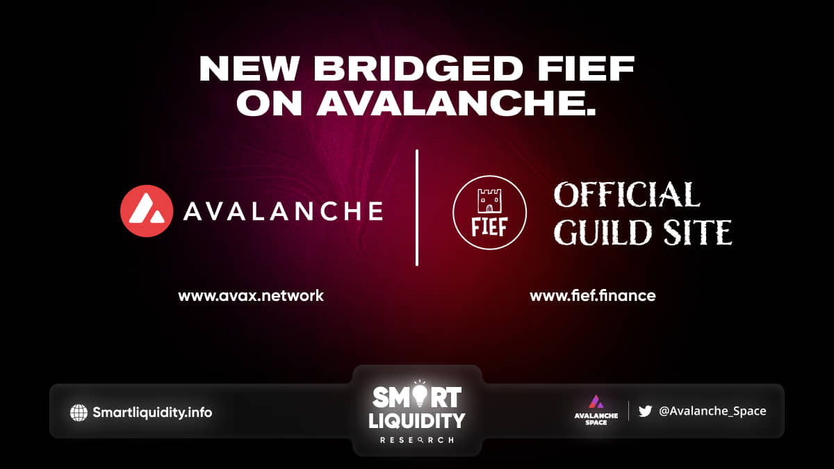 New bridged $FIEF on Avalanche