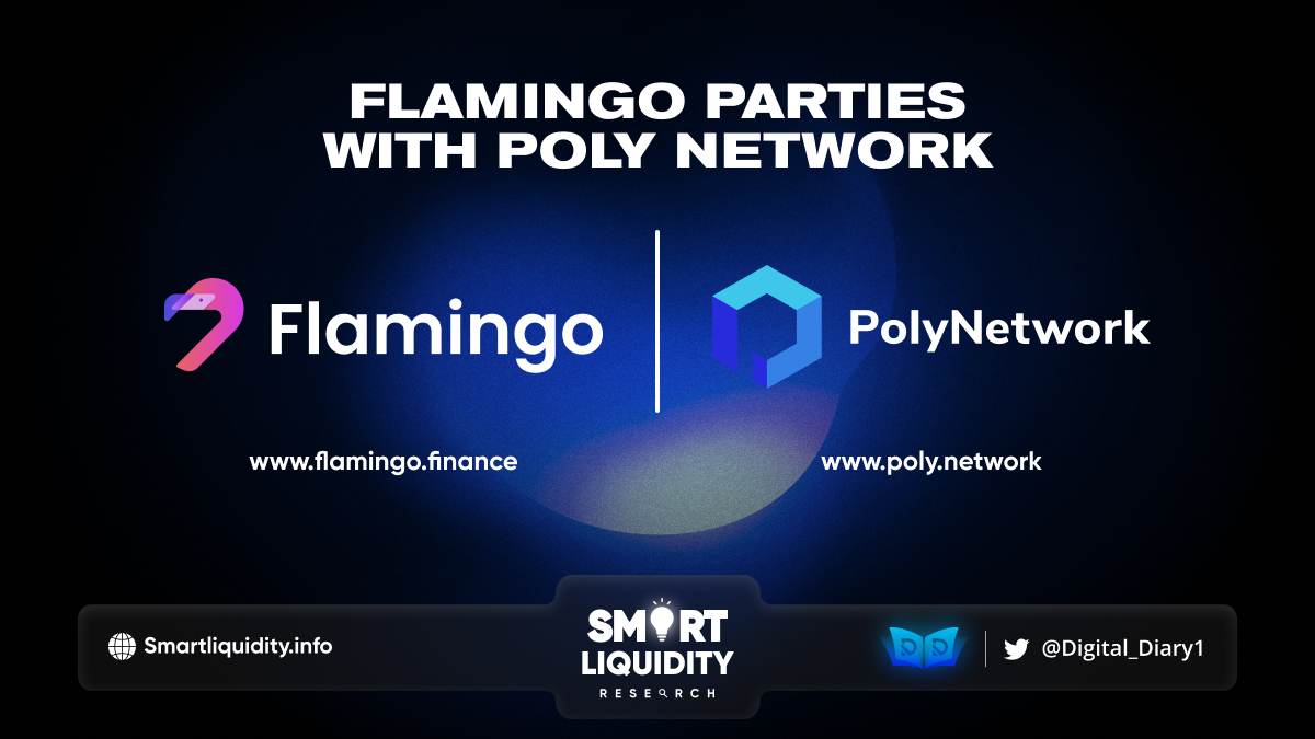 Flamingo Parties with Poly Network