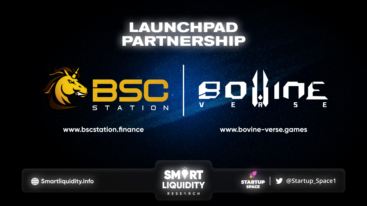 BovineVerse x BSCStation Launchpad Partnership!
