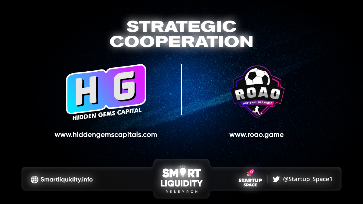 Hidden Gems Capital Joined Forces with RoaoGame!