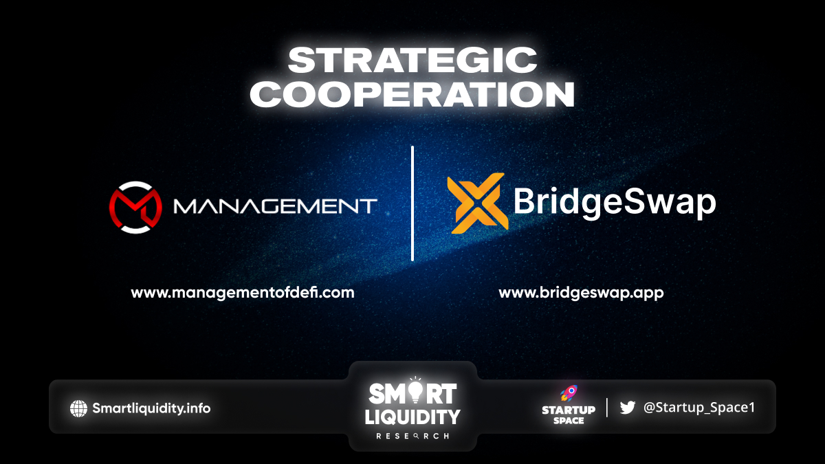 Management of DeFi Partners with BridgeSwap