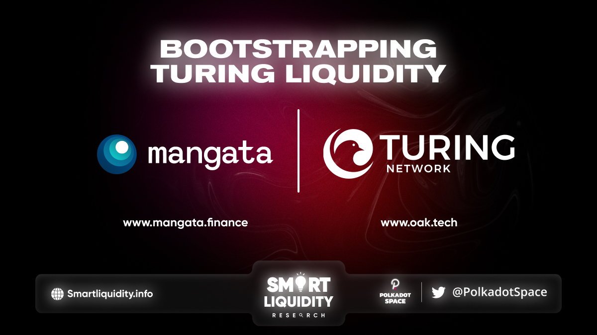 TUR:MGX Liquidity Pool And Bootstrap