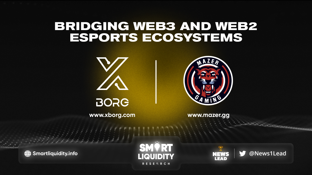 XBorg Integrates Mazer Gaming