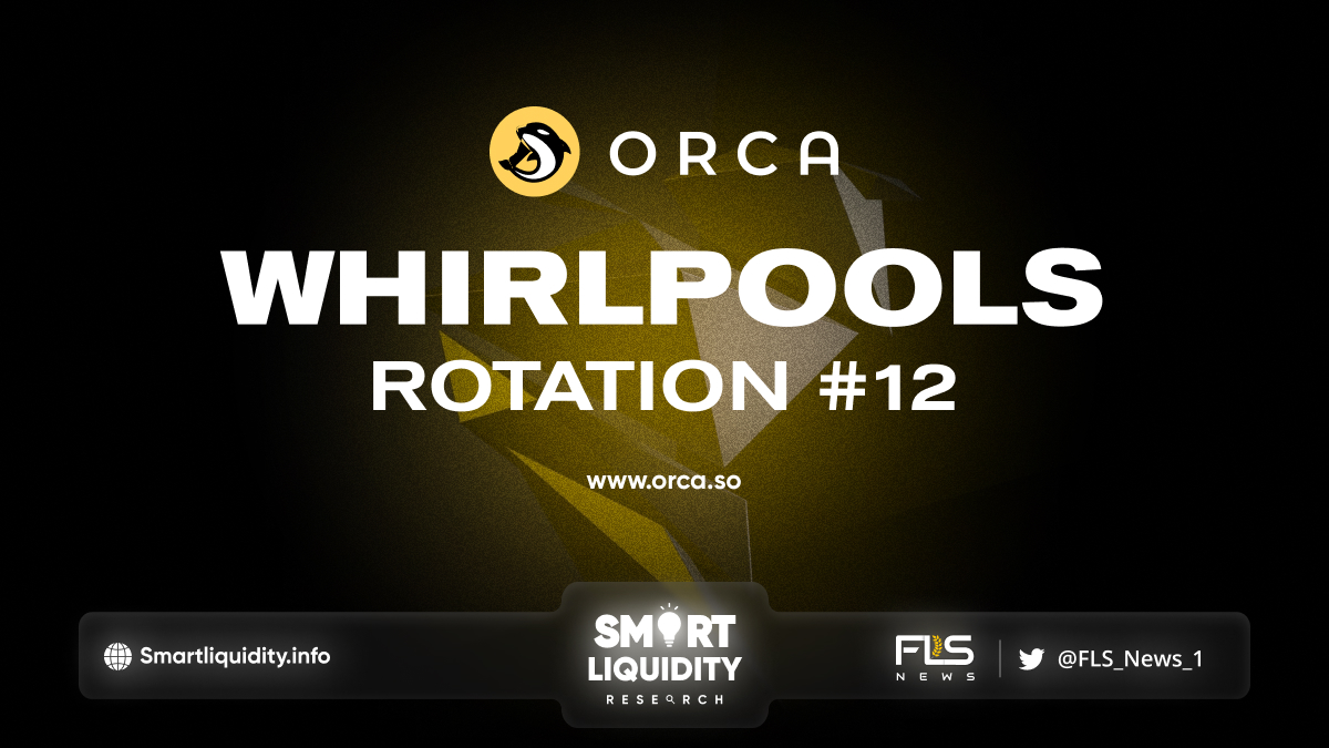 Orca Whirlpools Rotation #12