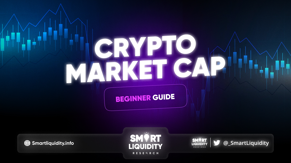 Crypto Market Capitalization Beginner Guide