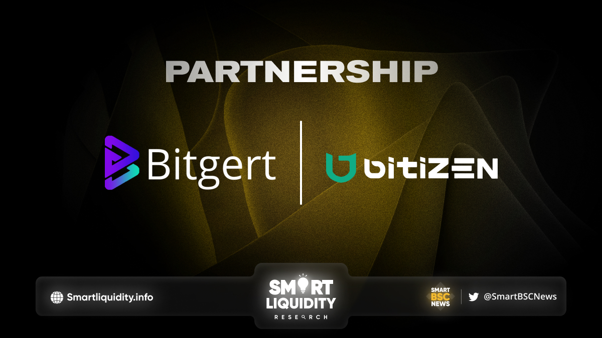 Bitgert Blockchain Partnership with Bitizen