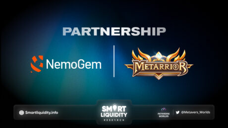 Nemogem and Metarrior Partnership