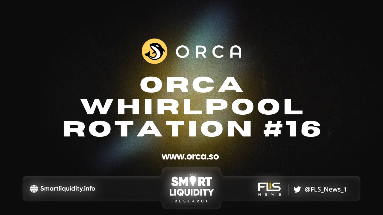 Orca Whirlpools Rotation #16