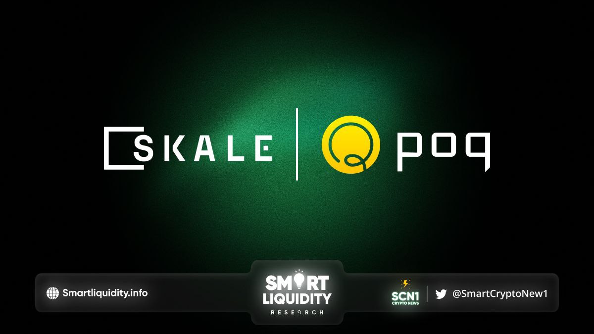 Pocketful is Building on SKALE