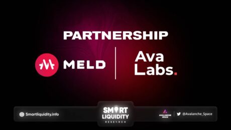MELD Partnership with Ava Labs